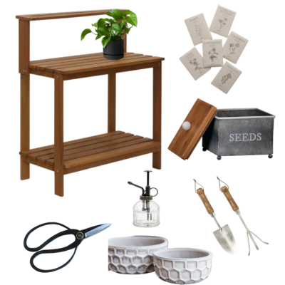 Weekly Feature Product  –  Seed Boxes